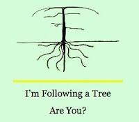Tree-Following—the Chosen One