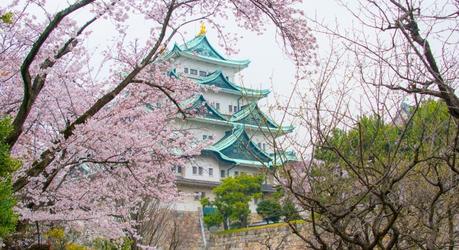 Nagoya Castle amid sakura blooms