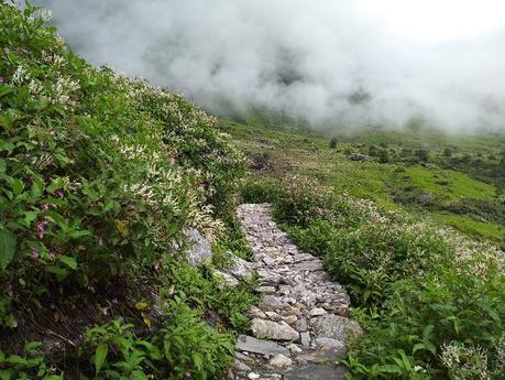 Valley of Flowers Trek Uttrakhand