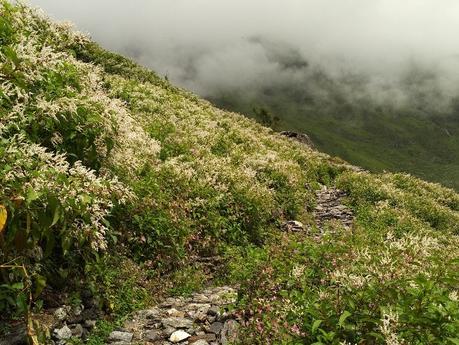 Valley of Flowers Trek Uttrakhand