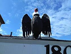 Image: Dead Vulture Effigy 18 inches Tall, Deters Turkey Vultures ​/ Buzzards from Roofs, Trees and Cell Towers