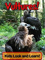 Image: Vultures! Learn About Vultures and Enjoy Colorful Pictures - Look and Learn! (50+ Photos of Vultures) | Kindle Edition | by Becky Wolff (Author). Publication Date: July 19, 2012