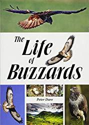 Image: The Life of Buzzards | Paperback: 224 pages | by Dr. Peter Dare (Author). Publisher: Whittles Publishing (October 7, 2015)