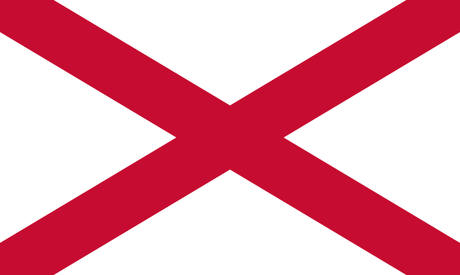 Dziwaczne Odkrycia: 17 Things You Didn’t Know About Saint Patrick (Święty Patryk) The actual Saint Patrick's Flag is a red and white saltire design, and his colour was blue.