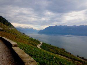 Exploring Wine in Switzerland’s Lake Geneva Region