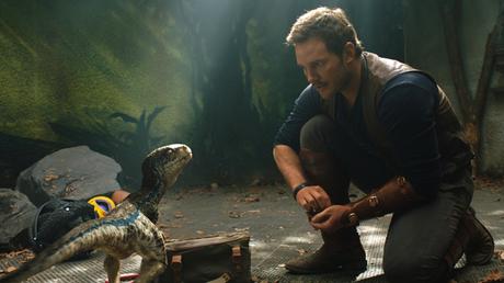 Late Movie Review: ‘Jurassic World: Fallen Kingdom’