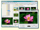 Best Photo organizing software Windows 2019
