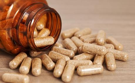 bark oak side effects dosage benefits paperblog homeopathic
