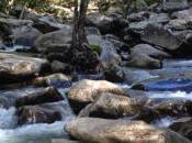 Enter Stock Orders Like Learn Terminology