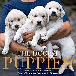 Image: The Dogist Puppies | Hardcover: 302 pages | by Elias Weiss Friedman (Author). Publisher: Artisan (September 19, 2017)