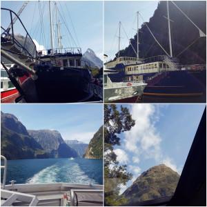 Real Journeys: Milford Sound