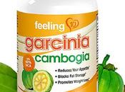 Garcinia Cambogia Extract Pure Review 2019 Side Effects Ingredients