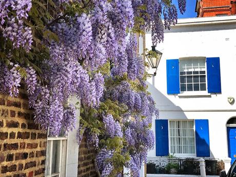 The Monday Photoblog: Spring Is On The Way