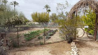 SPRINGTIME IN THE SONORA DESERT: At Tohono Chul Gardens, Tucson, AZ