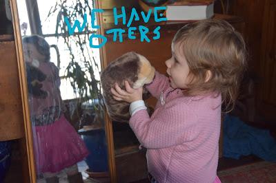 Another Busy Josie Day