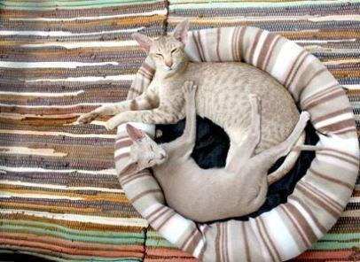 Top 10 Presents Every Kenyan Man Should Send to His Love For New Year