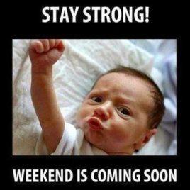 Best WhatsApp Status, Messages and Quotes (253+)