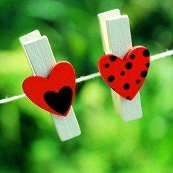 Best WhatsApp Status, Messages and Quotes (253+)