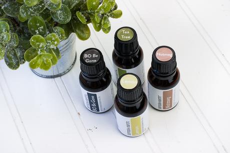 Simply Earth Essential Oils - My New Love