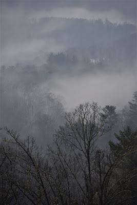 Looiking East in Cloudy Weather