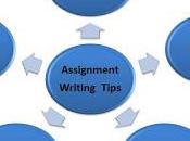 Assignment Writing Tips Help Hire Best Services