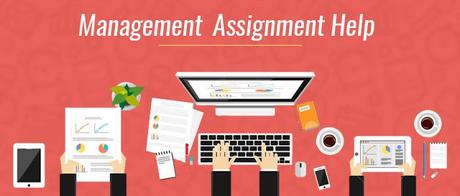 Management Assignment Help Online Strategies for The Entrepreneur