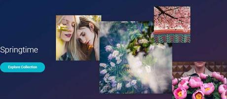 Focused Collection Review: Pricing, Licences, Comparison Focused Collection Photos