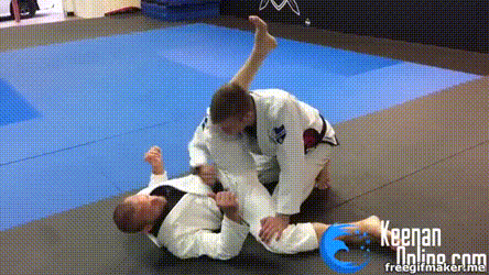 The Drew Jiu-Jitsu Grappling System