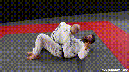The Drew Jiu-Jitsu Grappling System