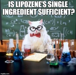 Lipozene Review 2019 – Side Effects & Ingredients