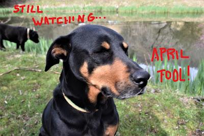 Benny Pulls a Fast One