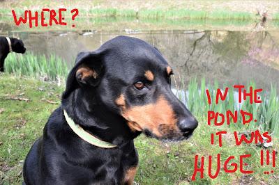 Benny Pulls a Fast One