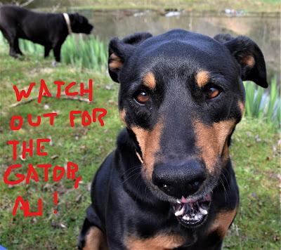 Benny Pulls a Fast One