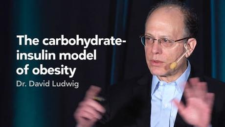 The carbohydrate-insulin model of obesity — Dr. David Ludwig