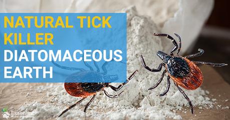 Kill Ticks Naturally With Diatomaceous Earth