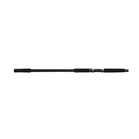 Shakespeare Two-Piece Ugly Stik Bigwater Spinning Rod Review