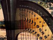 Observable Character: David