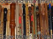 Woodwind Instruments Edge-blown Reeds