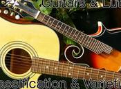 Guitars Lutes Classification Varieties