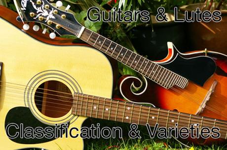 Guitars & Lutes – Classification & Varieties