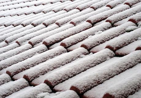 Top 5 Reasons That You Should Get Your Roof Repaired