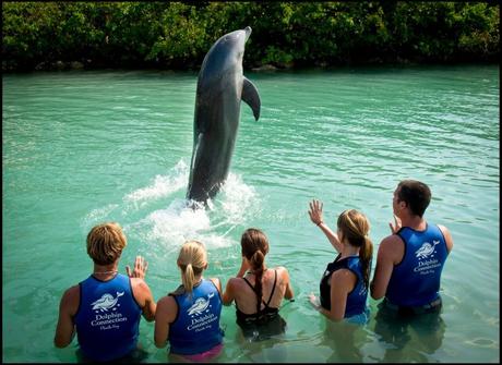 Hawks Cay: A Classic Florida Keys Resort Redefines Itself