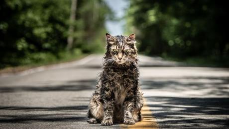 The New Pet Sematary Doesn’t Dig Deeply Enough