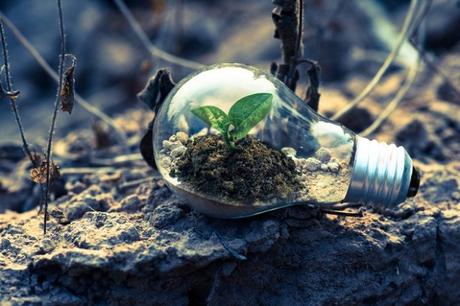 4 Ways to Make Eco-friendly Business – Going Green