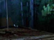 April Featuring Star Trek Freebies!