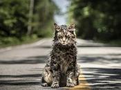 Review Sematary (2019)