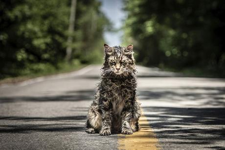 Review Pet Sematary (2019)