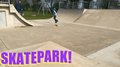 2019 and the Skatepark