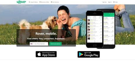 rover app to make money online