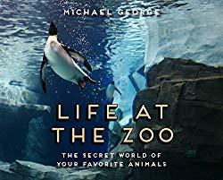 Image: Life at the Zoo | Hardcover: 32 pages | by Michael George (Author). Publisher: Sterling Children's Books (October 30, 2018)